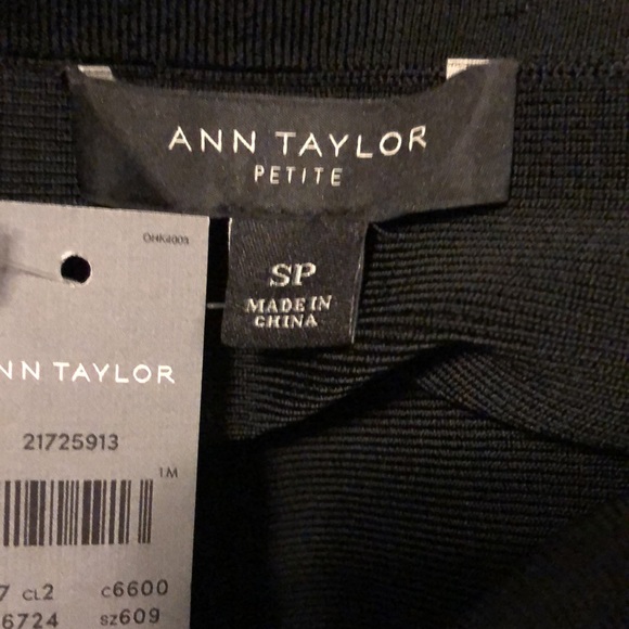 AnnTaylor Petite textured flounce skirt NWT szSP - Picture 7 of 10